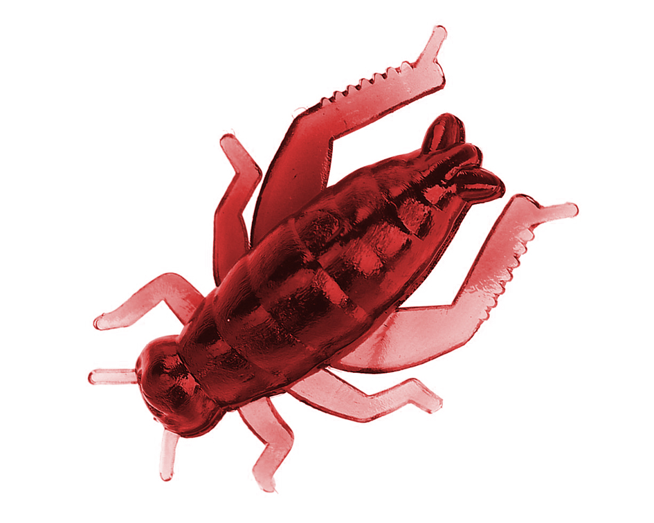 Silicone fishing lure - cricket - 3